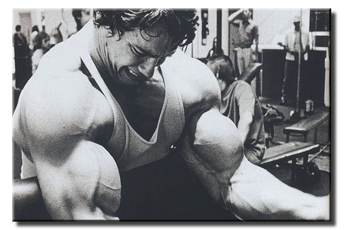ARNOLD SCHWARZENEGGER 6 değişen ölçü ORİJİNAL KANVAS TABLO