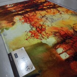 Desenli Kaymaz Soft Dokulu İç ve Dış 50x80 Kapı Önü Visco Paspas