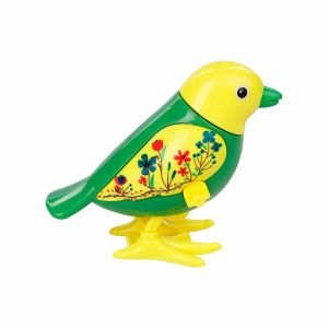 Kurmalıgiller Kuş 1 Adet Fiyatıdır