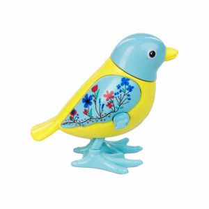 Kurmalıgiller Kuş 1 Adet Fiyatıdır