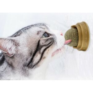 Kedi Nanesi Cat Mint Oyun Topu