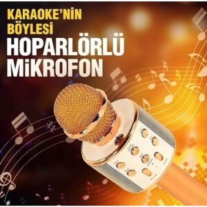 WS-858 KARAOKE MİKROFON BLUETOOTH MP3 ÇALAR SD-USB-AUX GİRİŞLİ