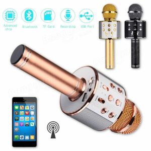 WS-858 KARAOKE MİKROFON BLUETOOTH MP3 ÇALAR SD-USB-AUX GİRİŞLİ