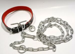 2 mt Zincir Tam Set 60cm Hakiki Deri Köpek Tasması Boyun Çapı 12-17cm iç Yapısı Yumuşak Süper Rahat