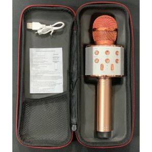 WS-858 ÇANTALI  KARAOKE MİKROFON BLUETOOTH MP3 SD-USB-AUX GİRİŞLİ