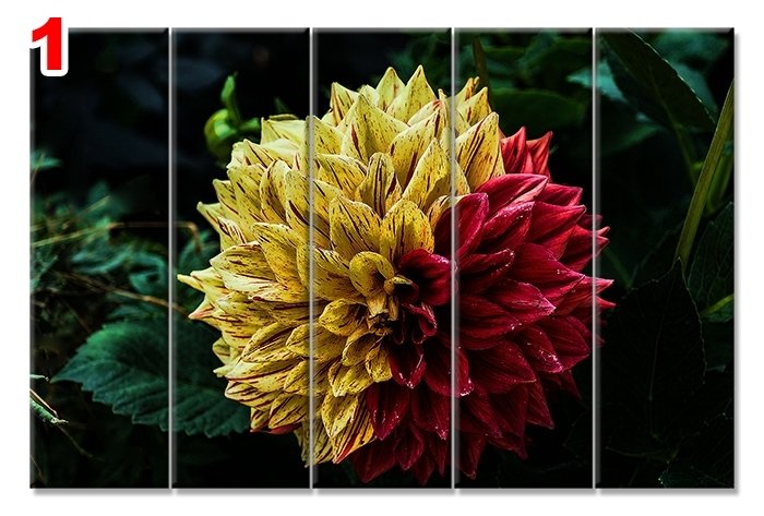 DAHLIA CICEK 7 STİL 5 PARÇALI KANVAS TABLO