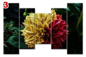 DAHLIA CICEK 7 STİL 5 PARÇALI KANVAS TABLO