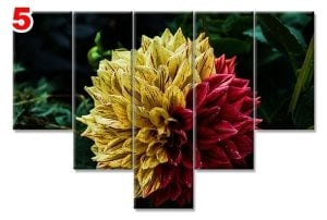 DAHLIA CICEK 7 STİL 5 PARÇALI KANVAS TABLO