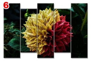 DAHLIA CICEK 7 STİL 5 PARÇALI KANVAS TABLO