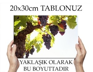 SALKIM ÜZÜMLER 7 değişen ölçü ORİJİNAL KANVAS TABLO