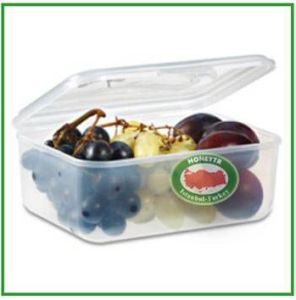 KAYBOLMAYAN KAPAK ELEGANCE SAKLAMA KABI 1300 ml