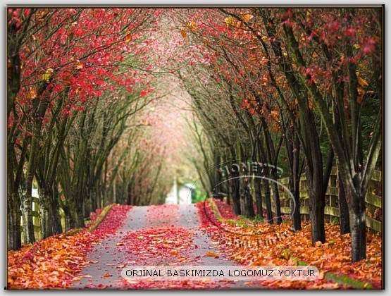 70x50cm CANVAS TABLO MANZARA OTHER SERİSİ 248