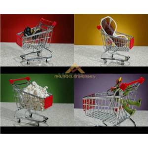 Mini Gerçekçi Alışveriş Market Arabası Şeklinde Dekoratif Kalemlik