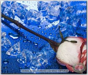 100x70cm ÇERÇEVELİ CANVAS TABLO ÇİÇEK AYF12687