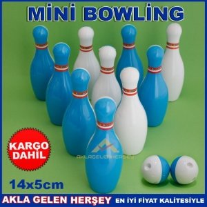 RENKLİ 10 LOBUT 2 TOP İLE MİNİK BOWLİNG SETİ KD