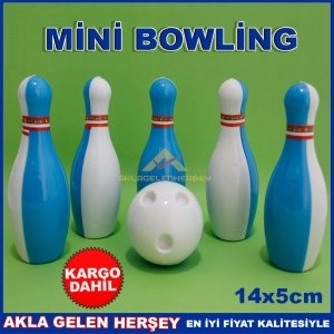 RENKLİ 6 LOBUT TEK TOP İLE MİNİK BOWLİNG SETİ KD