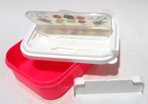 2 Renkte Çatal Kaşıklı Taşınabilir Kapaklı Sağlam Beslenme Kutusu Kaliteli Plastikten Üretilmiştir