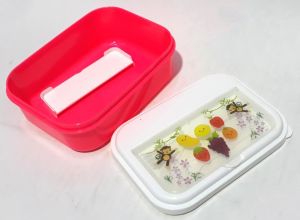 2 Renkte Çatal Kaşıklı Taşınabilir Kapaklı Sağlam Beslenme Kutusu Kaliteli Plastikten Üretilmiştir