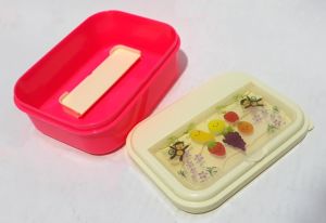 2 Renkte Çatal Kaşıklı Taşınabilir Kapaklı Sağlam Beslenme Kutusu Kaliteli Plastikten Üretilmiştir