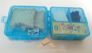 ÇOK FONKSİYONLU BESLENME KABI PRATİK BESLENME KUTUSU MAVİ