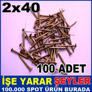 YÜZ ADET 2x40 SARI KANALLI İNCE BETON ÇİVİSİ