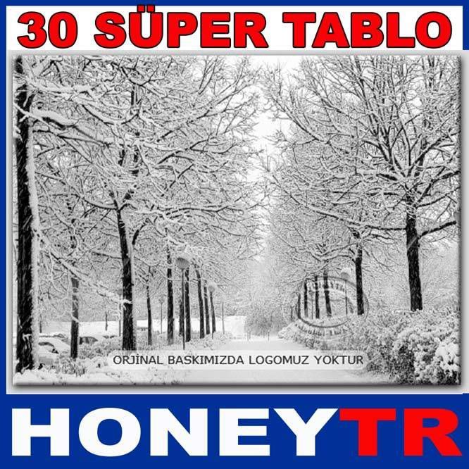 70x50cm KUŞE POSTER MANZARA KIŞ SERİSİ 124