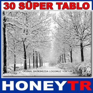 70x50cm KUŞE POSTER MANZARA KIŞ SERİSİ 124