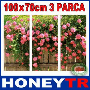 100x70cm 3 PARÇALI CANVAS TABLO CLİMBİNG ROSES